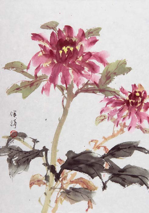 Chinese Herbaceous Peony - 2012